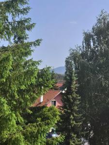 Příroda nedaleko apartmánu
