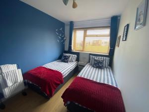 two beds in a room with blue and white walls at Seagulls Rest in Isle of Wight