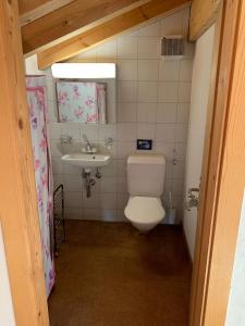 a bathroom with a toilet and a sink at Ferienwohnung Baltensperger in Andeer +25 photos