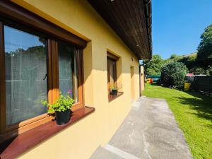 a building with two windows and potted plants on it at Apartmán Zara in Dobrá Voda