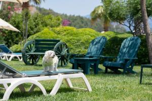 Gallery image of Marti La Perla - Adult Only+16 in Marmaris +128 photos