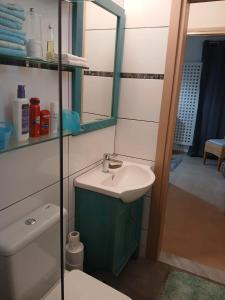 a bathroom with a sink and a mirror and a toilet at Diavaide Apartment in Dhiavaïdhé