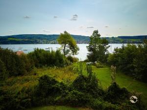 a view of a lake with boats on the water at Haus am Ufer in Gaienhofen +6 photos