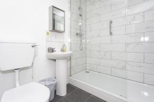 a bathroom with a sink and a toilet and a shower at Albert Lodge in Belfast +8 photos