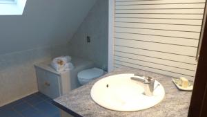 ein Badezimmer mit Waschbecken und Toilette in der Unterkunft Maison proche de la rivière du Bono, entre Auray et Vannes in Plougoumelen + 43 Fotos