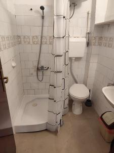 a bathroom with a shower and a toilet and a sink at Apartmani Vučević in Sutomore