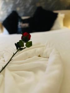 a red rose sitting on top of a bed at Couple's Getaway in Is-Swieqi