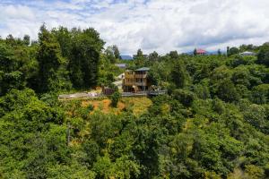 an aerial view of a house in the middle of a forest at Private Treehouse for 10 Guests with Sea View & Plunge Pool in Ts'ikhisdziri