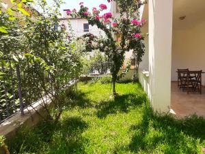 a garden with a small tree in the grass at #481 - Spacious 3BR Duplex with Private Garden in Datca