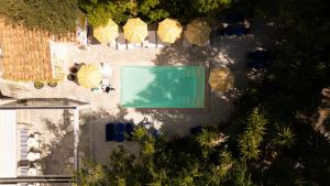 an overhead view of a swimming pool with umbrellas at Hôtel Le Sud in Juan-les-Pins