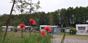 Gallery image of Camping de Reeënwissel in Hoogersmilde