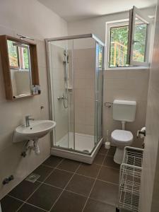 a bathroom with a shower and a toilet and a sink at Villa Kučan in Porat +53 photos