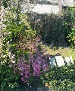 an aerial view of a garden with flowers at Home sweet home CPH in Copenhagen