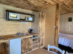 a kitchen with a sink and a bed in a room at La Ramure - Tiny chalet et sauna privatif, vue lac et pêche en famille in Roye