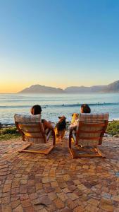 drei Menschen und drei Hunde sitzen auf Stühlen am Strand in der Unterkunft Family & pet friendly beach house, Kommetjie in Kapstadt