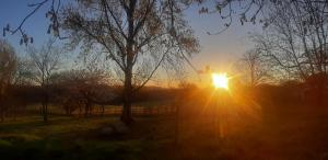 a sun setting in a field with a tree at Caravane 70's in Saint-Marcet +6 photos