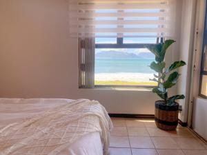 ein Schlafzimmer mit einem Bett und ein Fenster mit einer Pflanze in der Unterkunft Family & pet friendly beach house, Kommetjie in Kapstadt