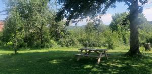 a picnic table under a tree in a field at Caravane 70's in Saint-Marcet