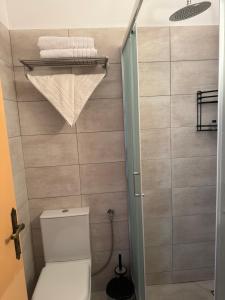 un piccolo bagno con servizi igienici e doccia di Pythaïs Hotel a Pythagóreion Altre 37 foto