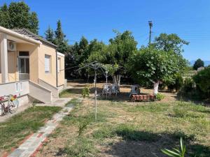 Zahrada ubytování Art House