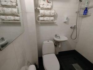 a small bathroom with a toilet and a sink at Matrix Garden Apartments in Tallinn +20 photos
