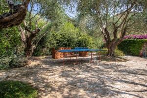 a ping pong table in a park with trees at Villaflair - Porto Ercole Pool Villa in Porto Ercole +22 photos