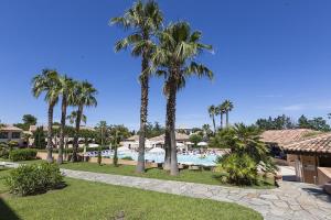Πισίνα στο ή κοντά στο Cozy 2-room beachfront Résidence Sognu Di Mare Casa Serenita