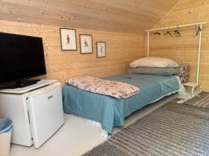 a bedroom with a bed and a television in a cabin at Il Pruno - Exclusive Tent in San Giuliano Terme