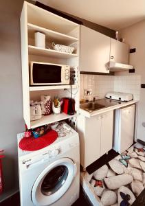 a kitchen with a washing machine and a microwave at Cinque Terre, Sea View Home in Manarola