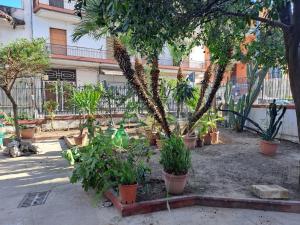 Zahrada ubytování A casa di Luigi
