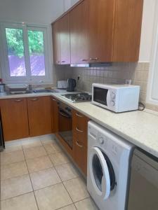 eine Küche mit Waschmaschine und Mikrowelle in der Unterkunft Villa Eros in Zóla
