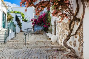 un escalier dans la ville de Mykonos avec des fleurs dans l'établissement Estoi Heritage, à Estói