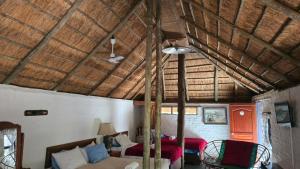 mokolodi Conservancy Chalets的休息区