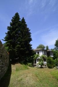Zahrada ubytování Guesthouse To kalivi