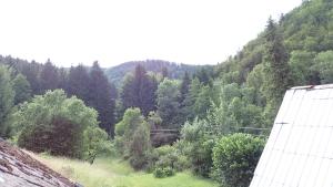 Náttúran í nágrenni sumarhússins