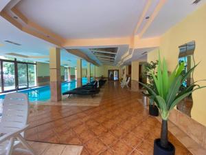 a lobby with a pool and chairs and a plant at Eri Wellness Apartman in Siófok