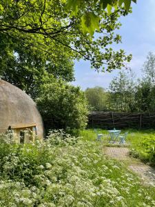 een picknicktafel en stoelen in een bloemenveld bij Plaats De Kleine Aarde in Boxtel +6 foto's