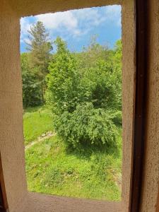Jardin de l'établissement Apt 1er étage - Gite aux 1000 chemins