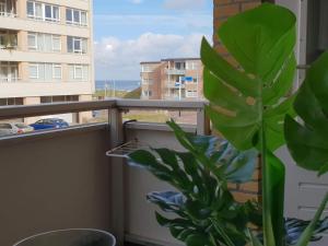 a plant on a balcony with a view of the ocean at B&b aan zee in Egmond aan Zee +27 photos