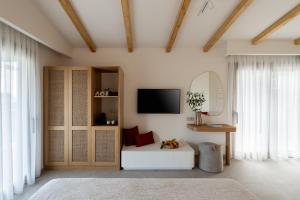 a living room with a couch and a tv on a wall at Dome Island in Troulos