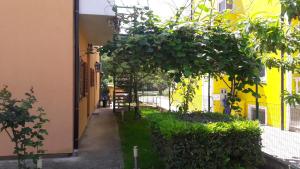 Zahrada ubytování Apartments Tea