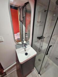 a bathroom with a sink and a shower with a mirror at Le Nid Perché in Amiens