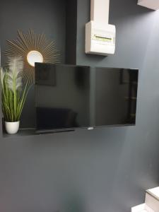 a flat screen tv on a wall with a potted plant at Le Nid Perché in Amiens