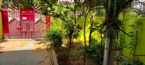 Vườn quanh Anand Nivas Homestay