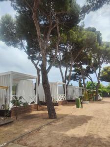 a tree in front of a white house with trees at Camping Relax Sol in Torredembarra