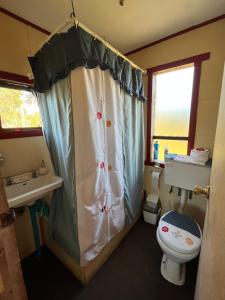 a bathroom with a shower and a toilet and a sink at Cabañas Encanto Quenacano  +6 photos