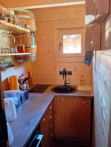 Una cocina o zona de cocina en Vile Bliznakinje