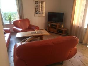 a living room with a couch and a television at Zinnowitz, Kneippstr 24 b in Zinnowitz