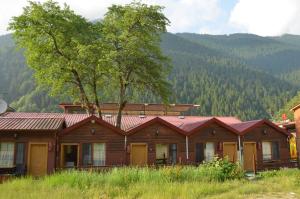 a log cabin with a tree and mountains in the background at Ensar Apart in Uzungöl
