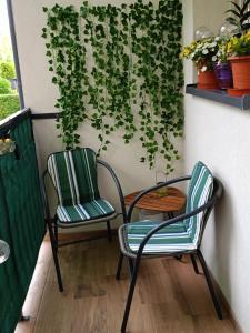 two chairs and a table next to a wall with ivy at Apartament na podgórzynskiej in Jelenia Góra